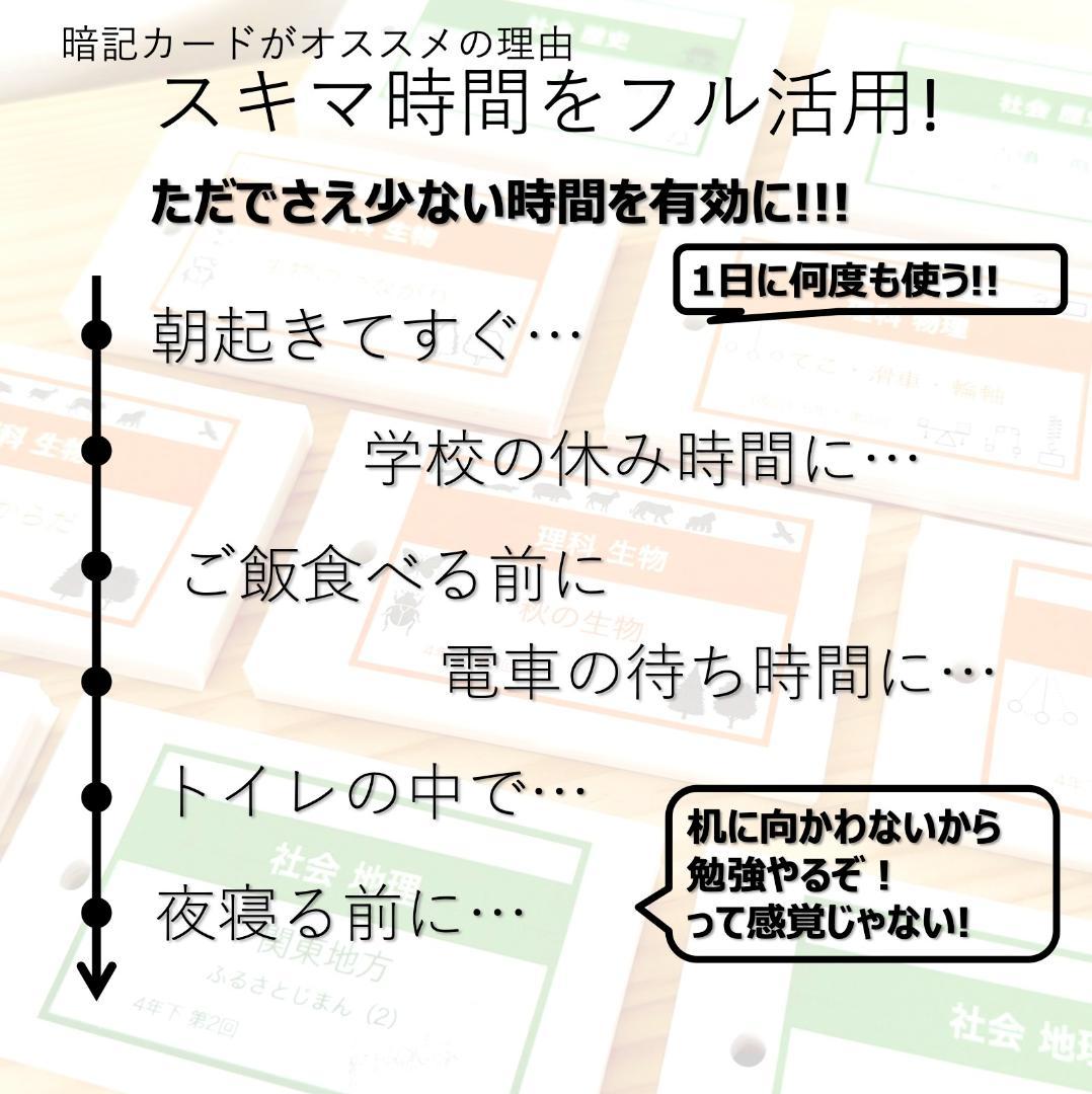 中学受験 暗記カード【理科 生物 全セット】小学5年生が最適