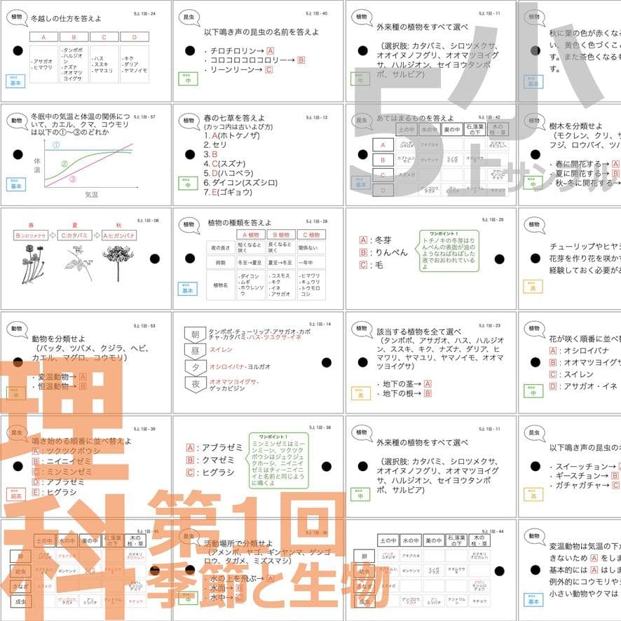 中学受験 暗記カード【理科 生物 全セット】小学5年生が最適