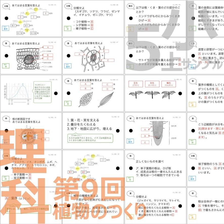 中学受験 暗記カード【理科 生物 全セット】小学5年生が最適