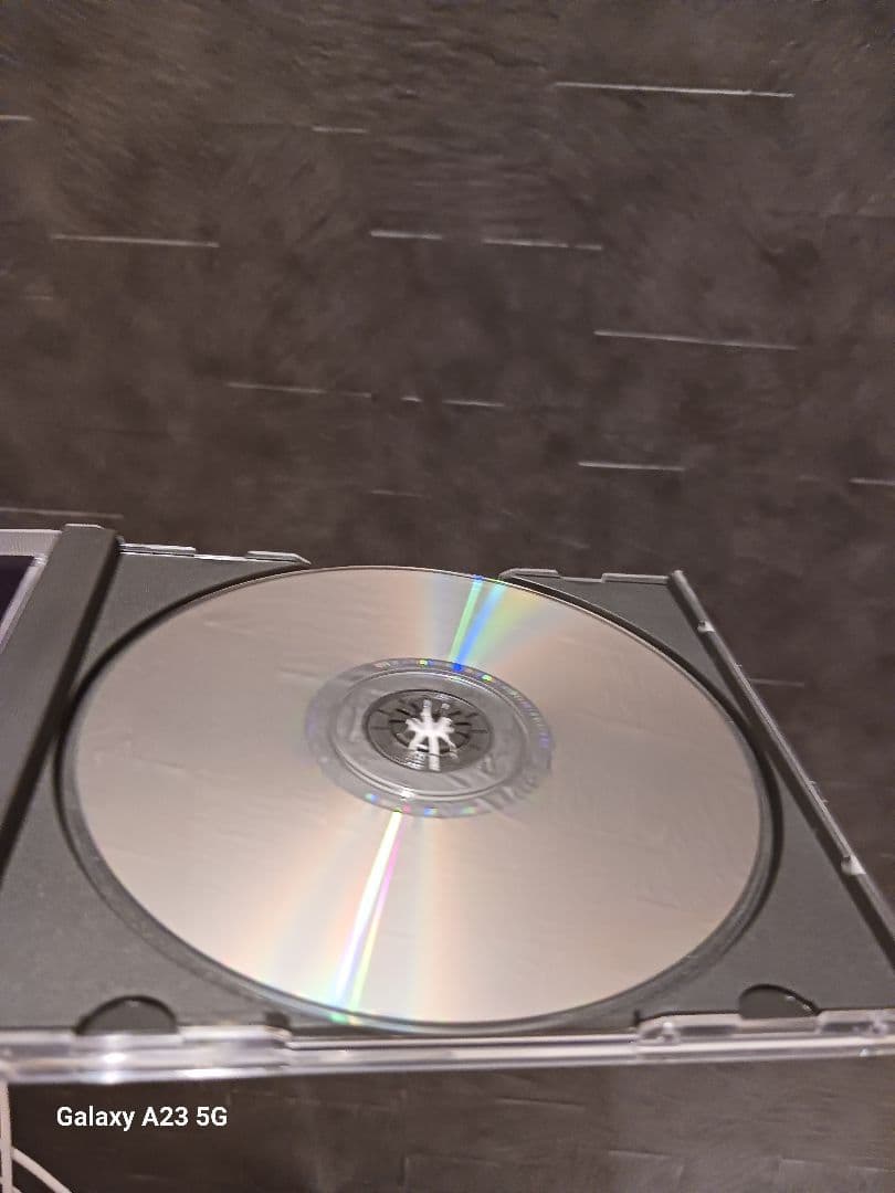 【美品廃盤2枚】スラッシュメタル PITIFUL REIGN WARGASM