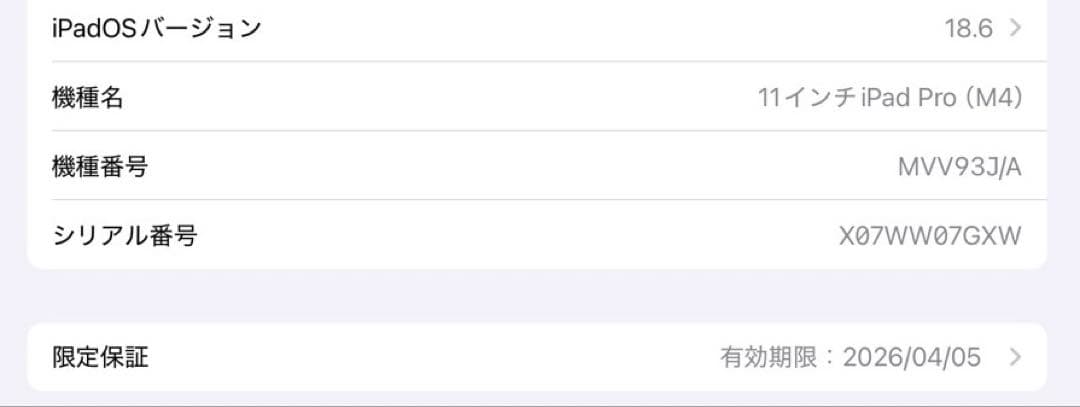 iPad Pro M4 256GB 11インチ スペースグレー