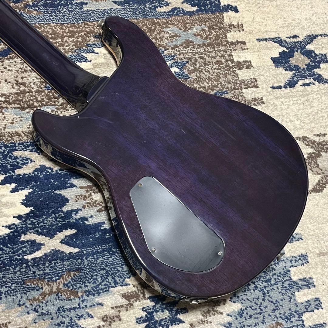 Fernandes APG-85 PRS Gibson TAK DC 風