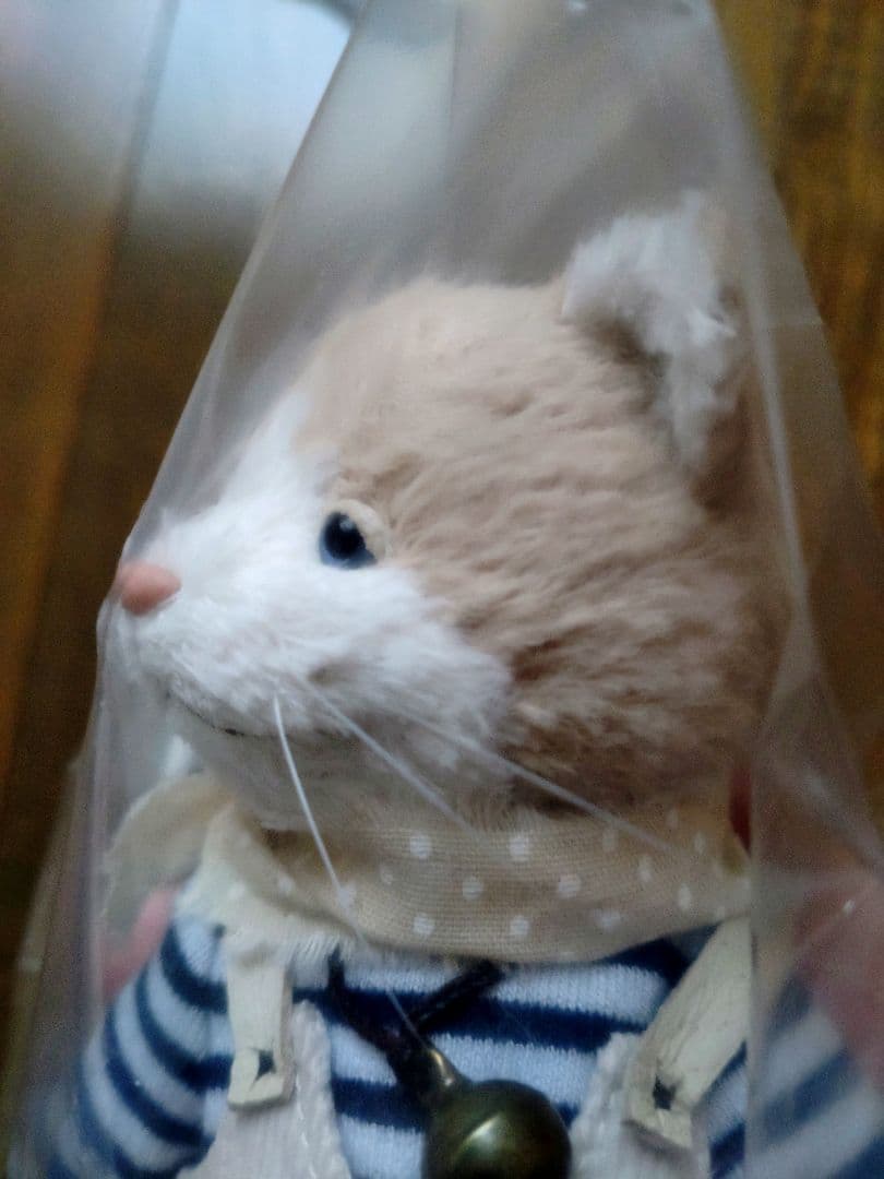 作家様テディベア　アーティストベア　猫ちゃん