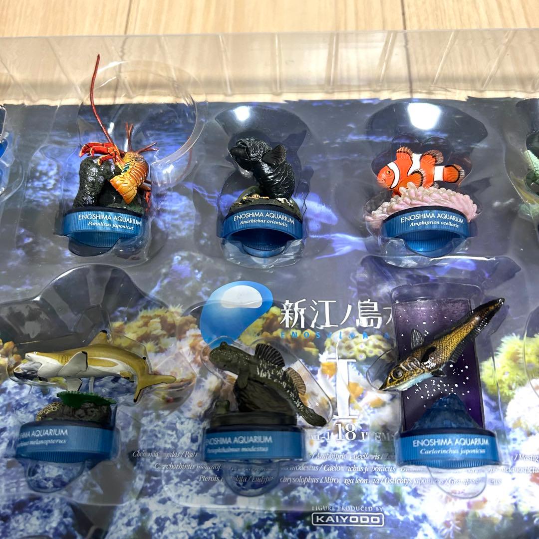 【希少・全18種】新江ノ島水族館 立体生物図録 コレクションボックス 海洋堂