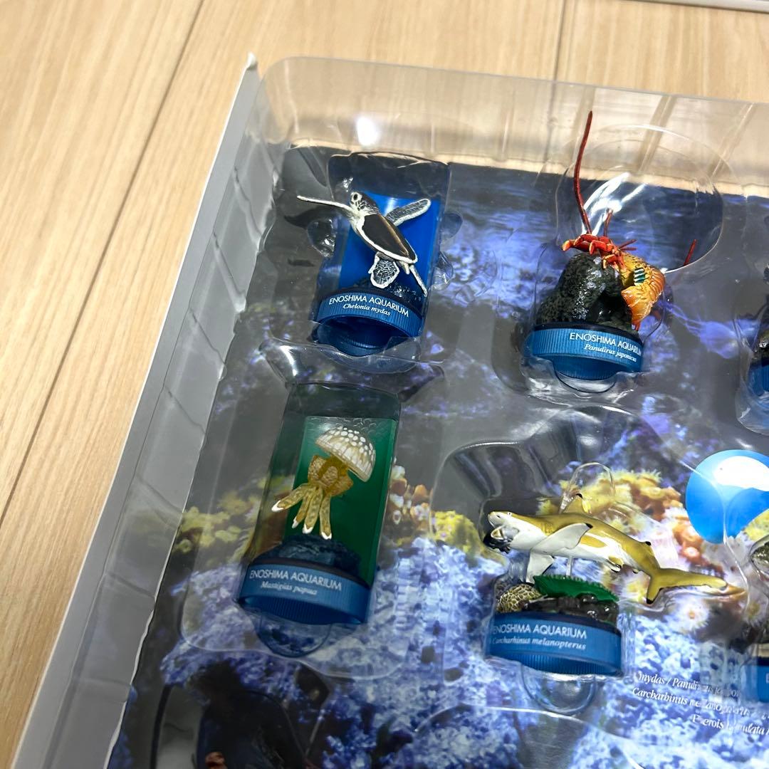 【希少・全18種】新江ノ島水族館 立体生物図録 コレクションボックス 海洋堂