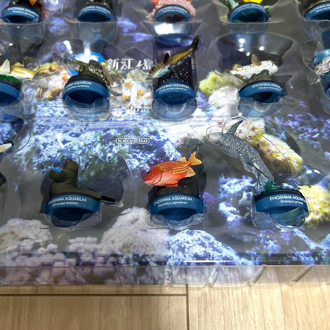 【希少・全18種】新江ノ島水族館 立体生物図録 コレクションボックス 海洋堂