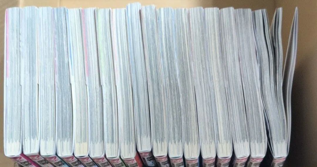 勇者パーティを追い出された器用貧乏　パーティ事情で付与術士をやっ　1-17セット