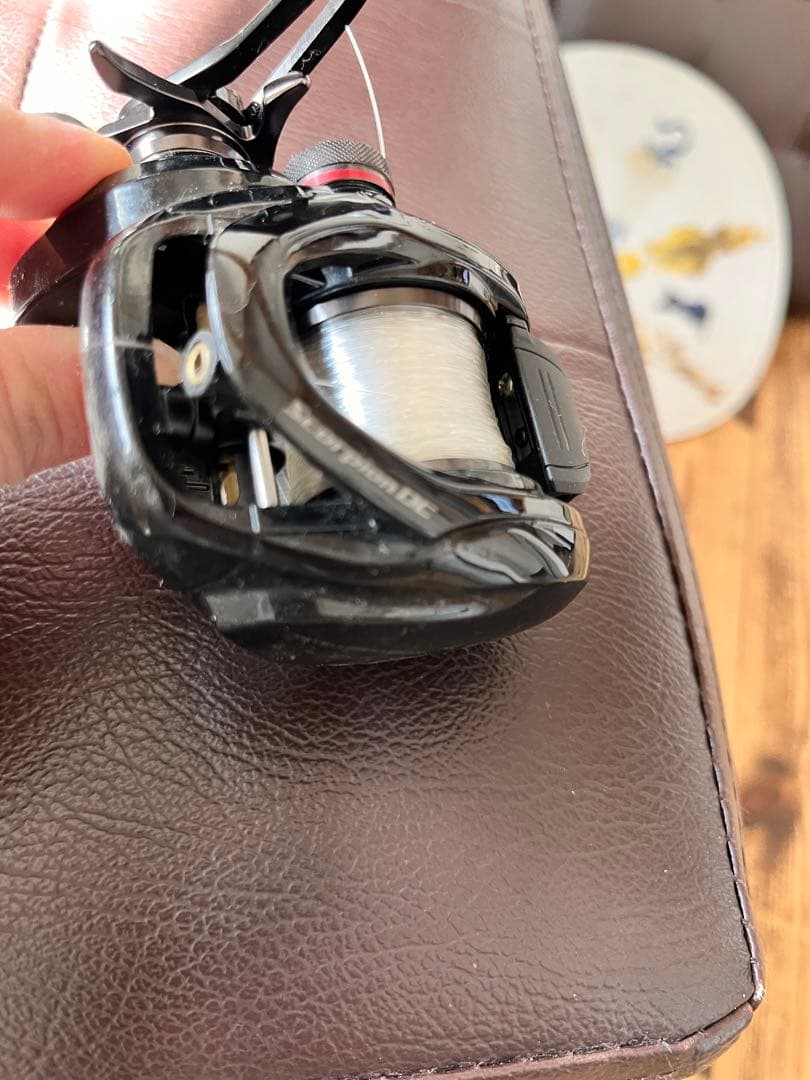 SHIMANO 100HG リール