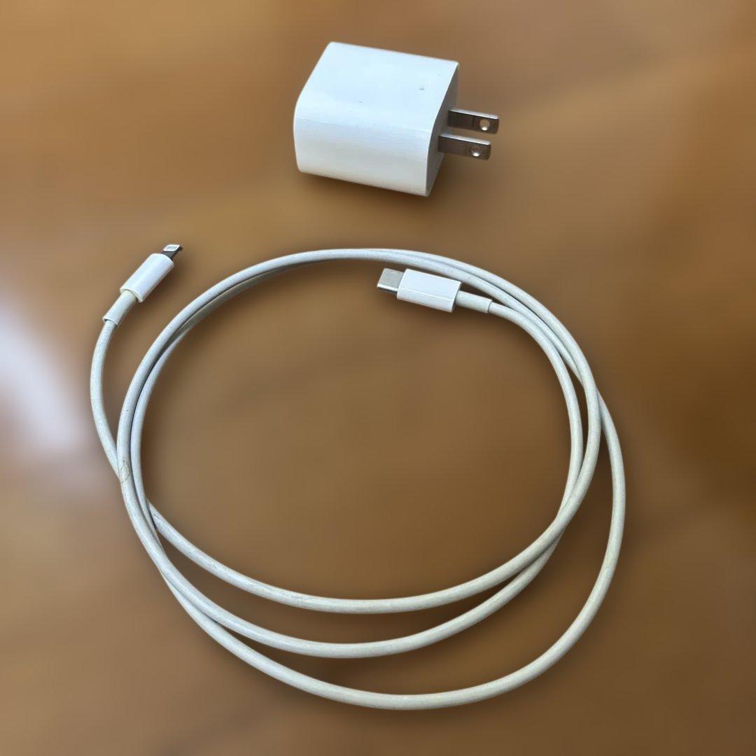 iPad 第9世代　64GB シルバー 箱無し