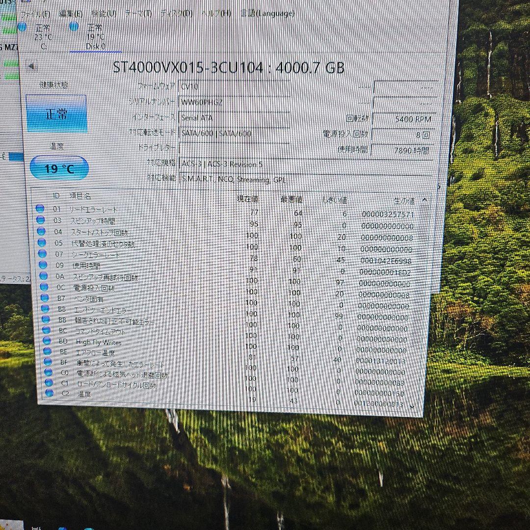 Seagate SkyHawk 4TB ST4000VX015 正常動作品