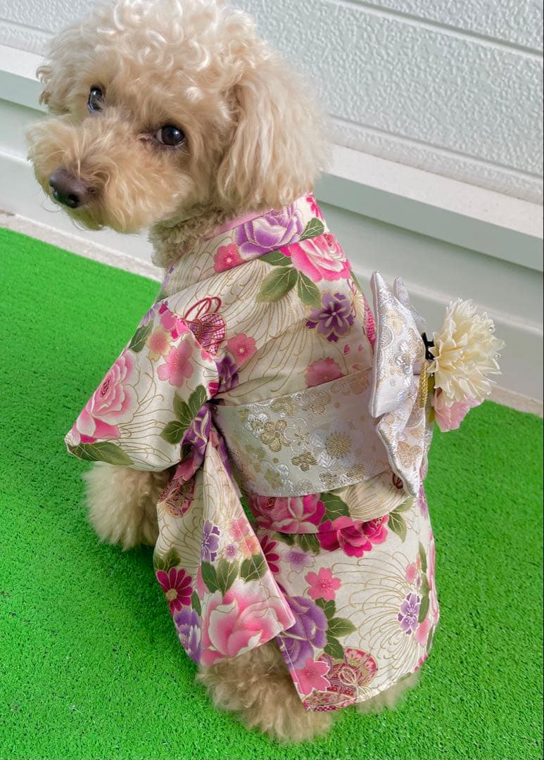 トムページです。