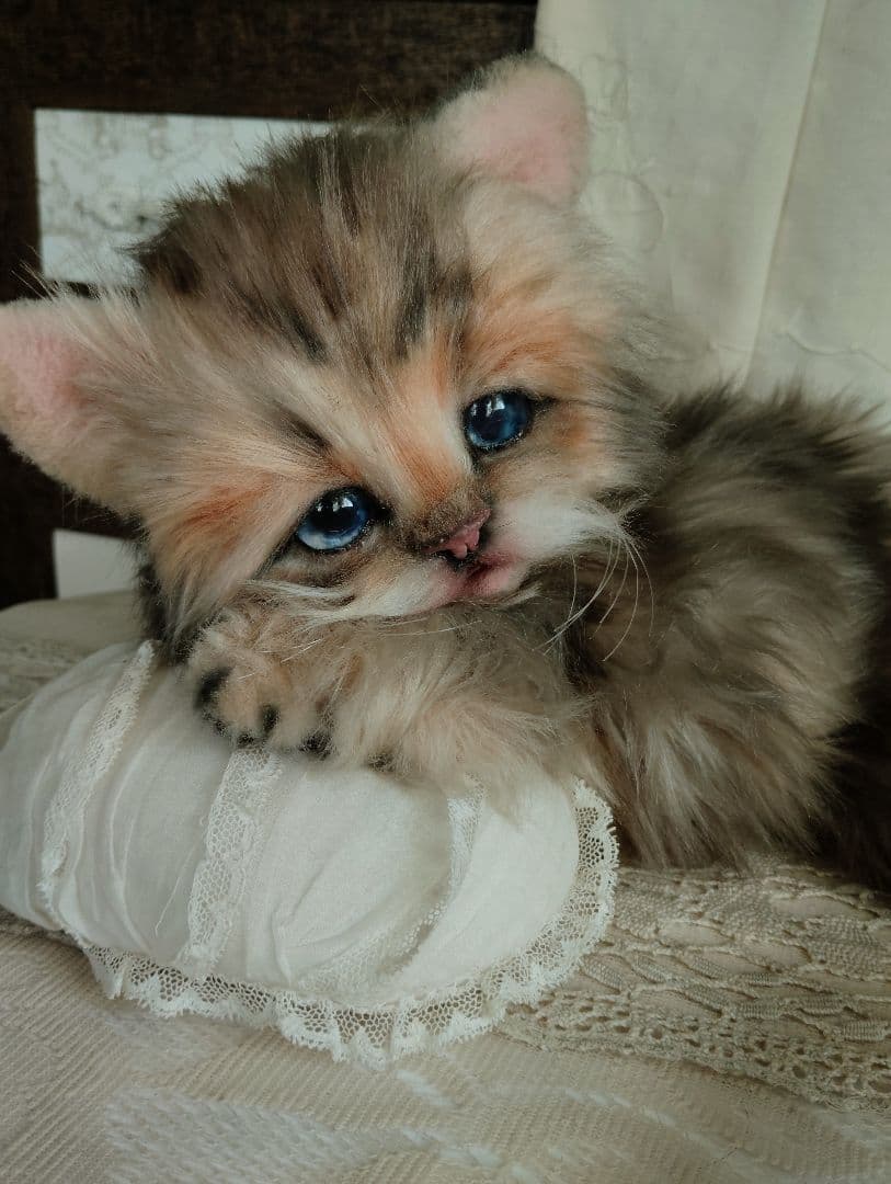 リアルサイズ♡チンチラゴールデン子猫♡ラブちゃん♡アートドール♡ぬいぐるみ♡