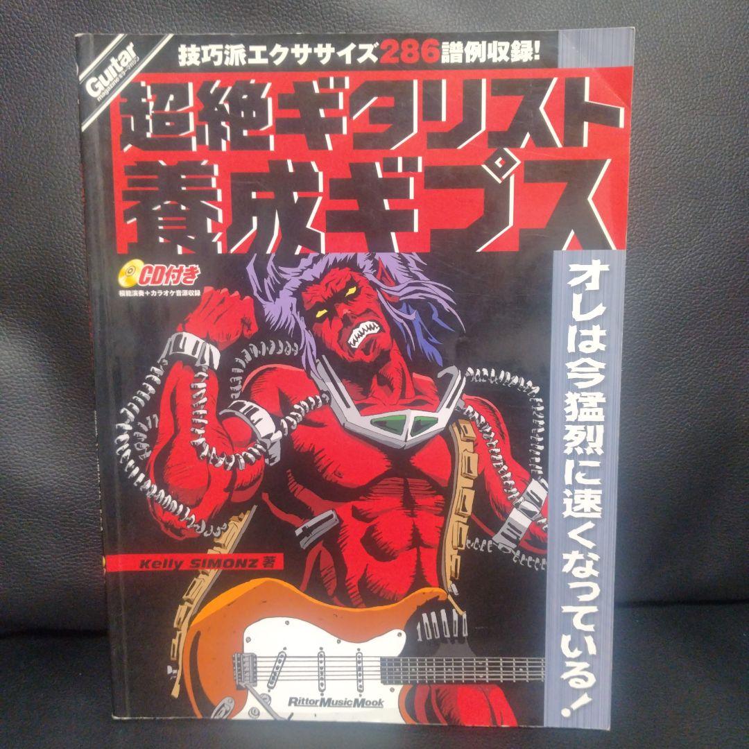 超絶ギタリスト養成ギプス
