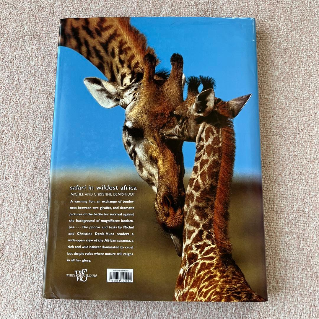 洋書　safari in wildest africa アフリカ　大型本