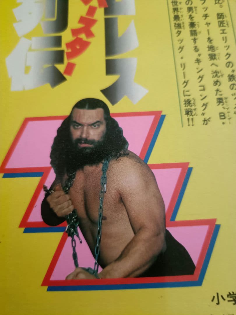 プロレススーパースター列伝　全17巻