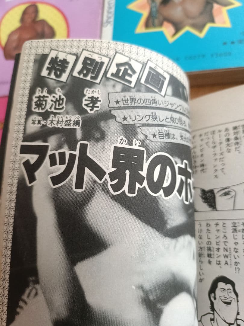 プロレススーパースター列伝　全17巻