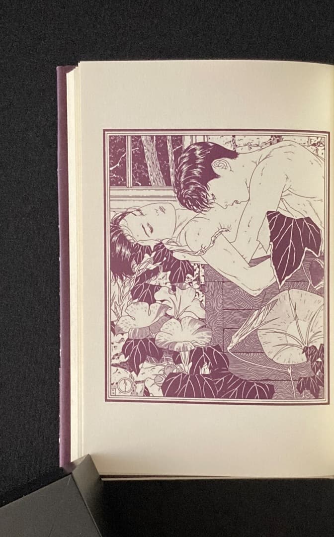 No.793『ナルシス残照』石川貴一 / 山本タカト装画 / 新風舎