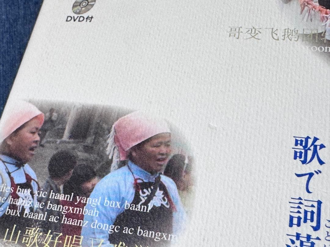 「山歌の民族誌 歌で詞藻を交わす」　京都大学出版会　DVD付き