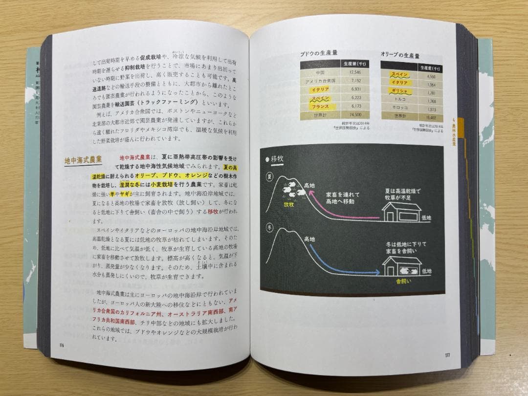 【書き込み有/2冊セット】村瀬のゼロからわかる地理B (系統地理編・地誌編)