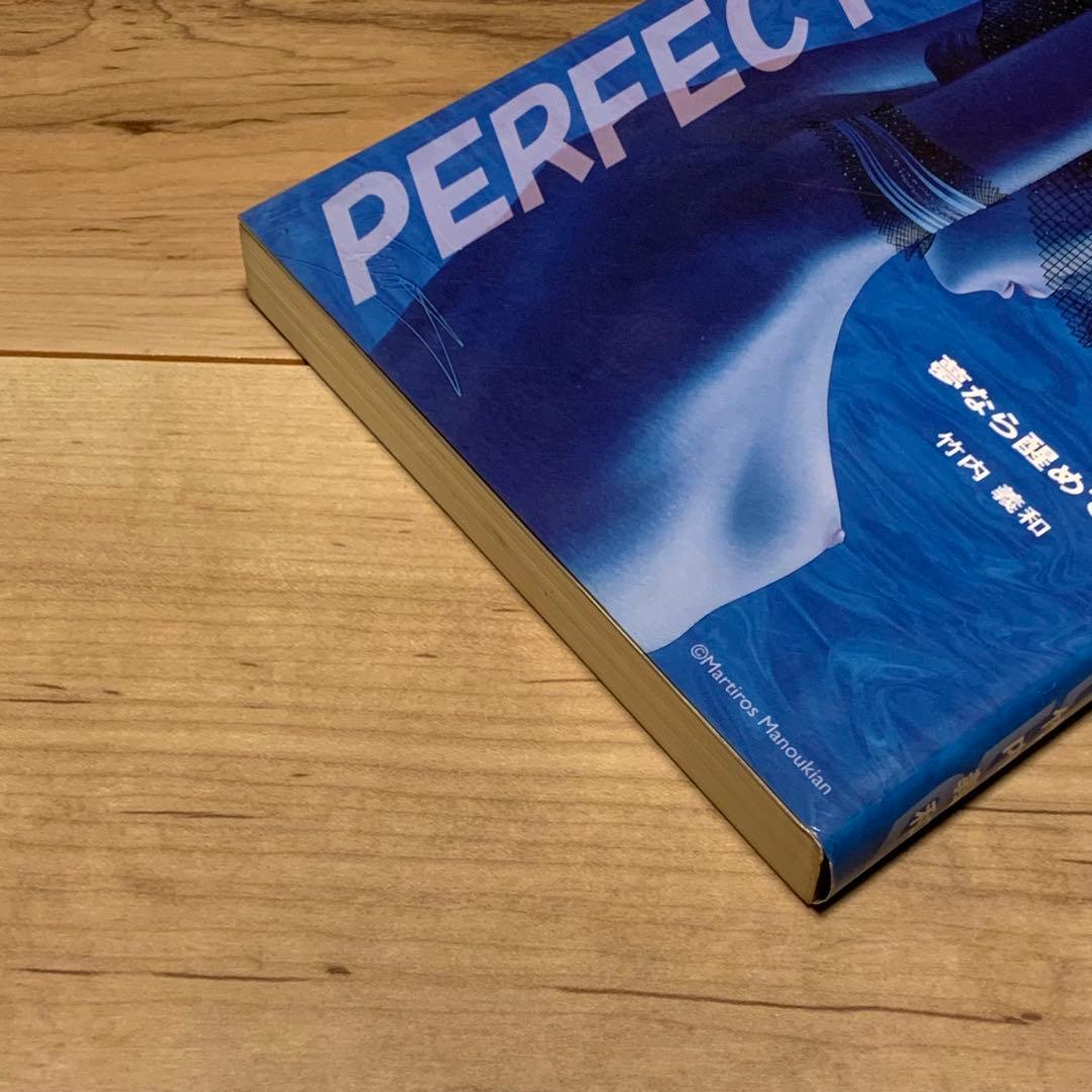 初版 今敏監督 パーフェクトブルー竹内義和 夢なら醒めてPERFECT BLUE