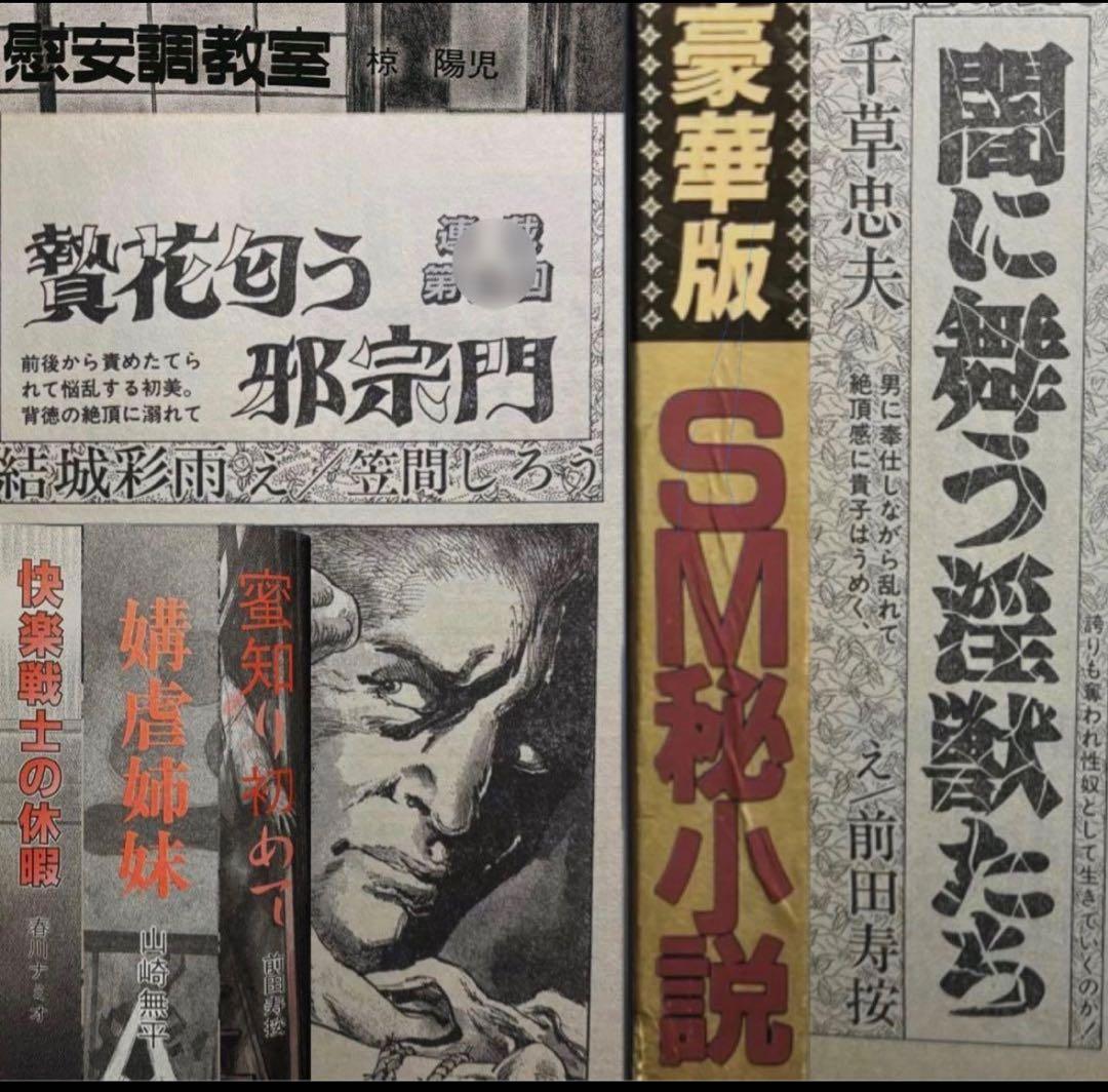 絶版】秘小説94年4月 千草忠夫 結城彩雨 　　　前田寿按 楡畑雄二 椋陽児 他