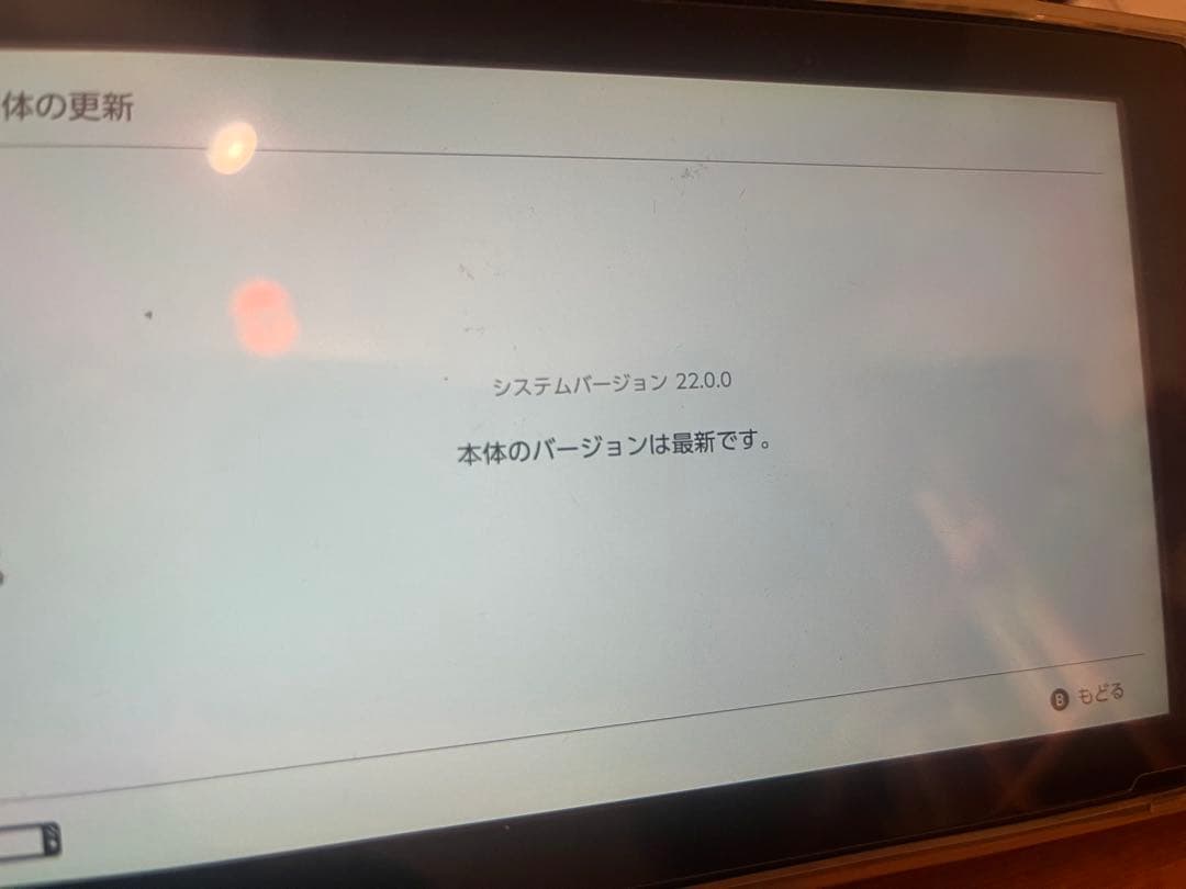 y*9様 Nintendo Switch 本体