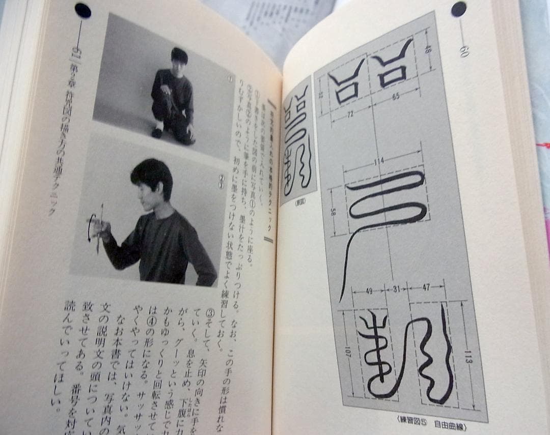 【送料無料】仙道符咒気功法　仙道が究めた超絶・最強のメソッド!　高藤聡一郎