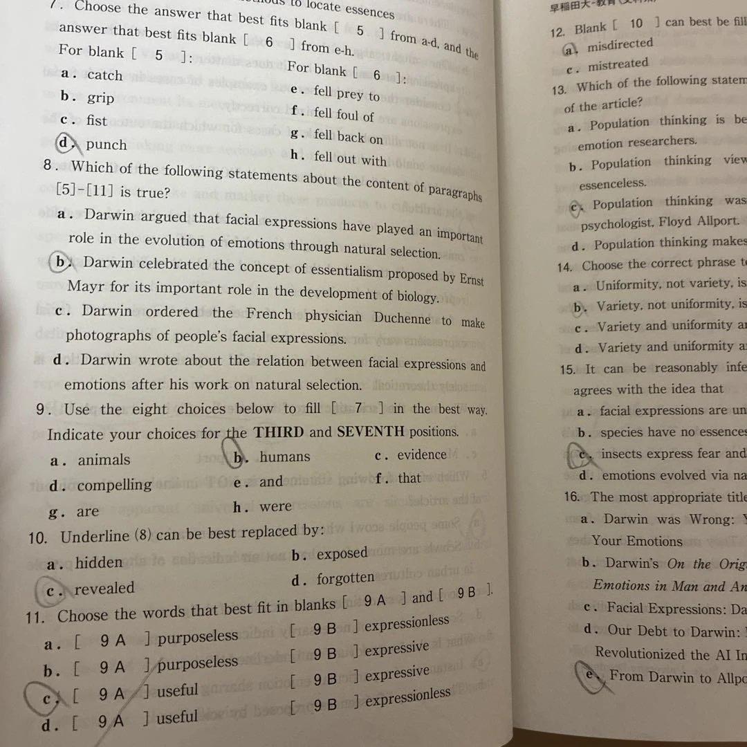 早稲田大学 赤本 六冊