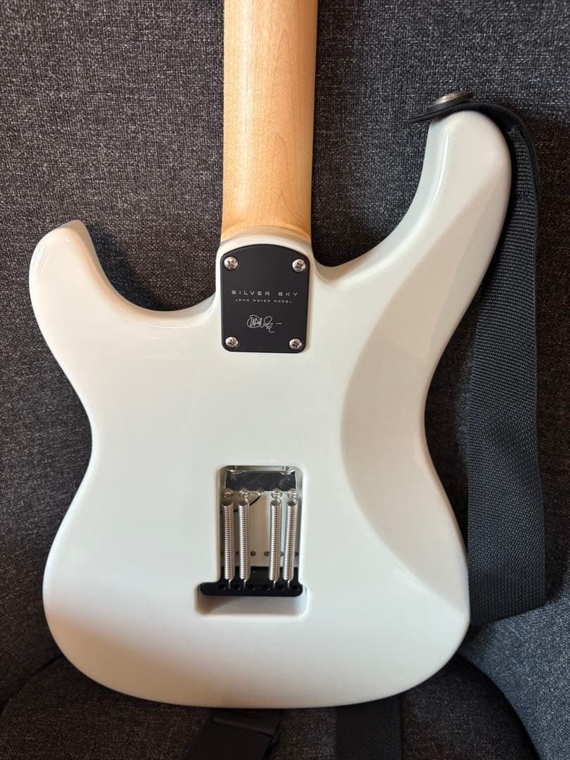 ギター PRS Silver Sky frost