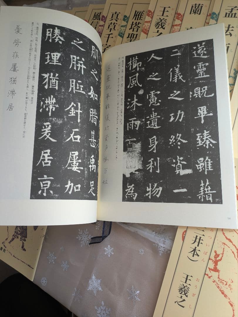 天来書院テキストシリーズ 書の古典 14冊