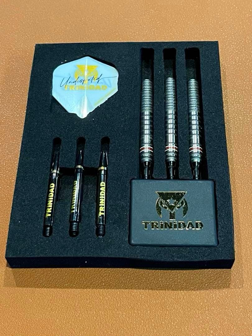 山田勇樹TRINIDAD GOMEZ TYPE 15 ダーツ 20g