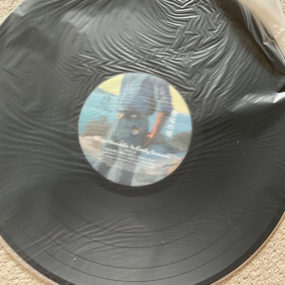 浜田省吾 初夏の頃 LP レコード 貴重品 美品 値下げ