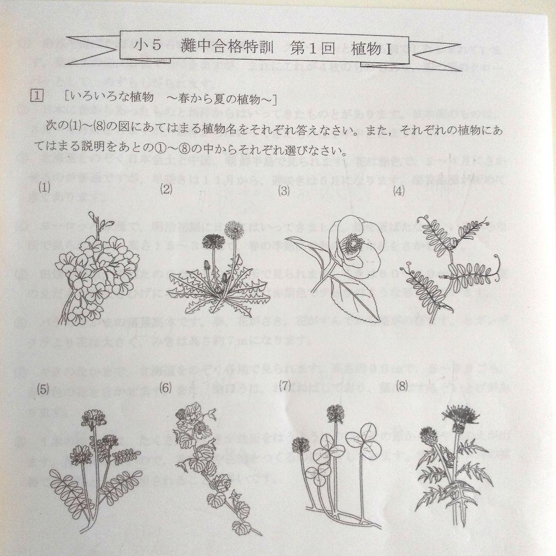 小5灘中合格特訓 浜学園 算数国語理科　第1回～第４回&第10回～第12回