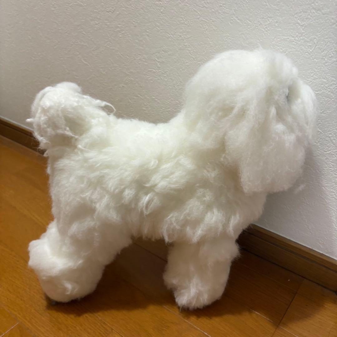 トリミング練習
