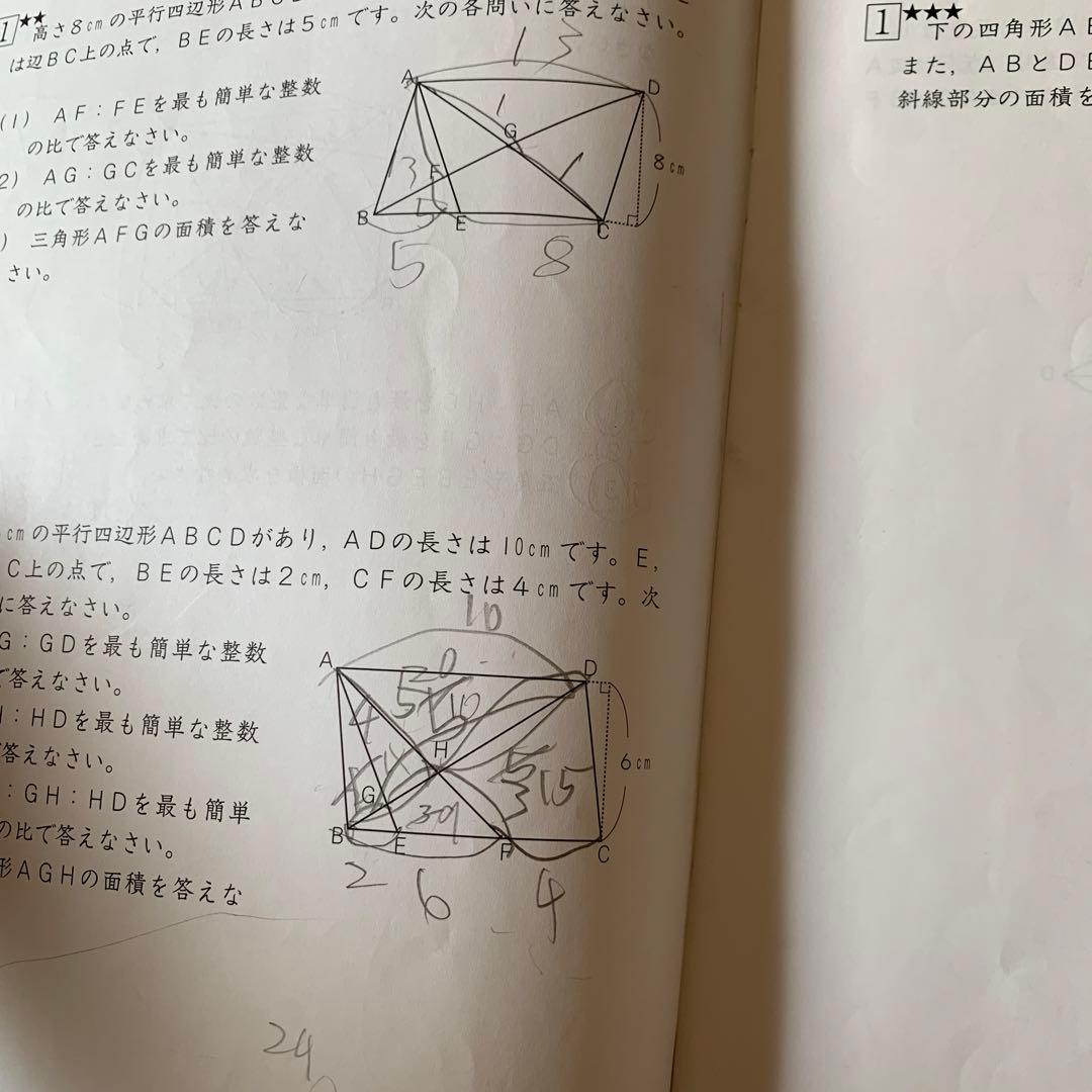 今日までお値下げ！SAPIX 小学5年1年分算数デイリーサポートサピックス74冊