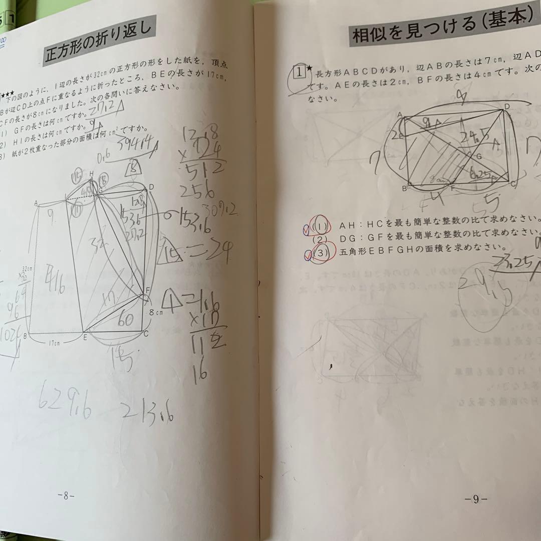 今日までお値下げ！SAPIX 小学5年1年分算数デイリーサポートサピックス74冊