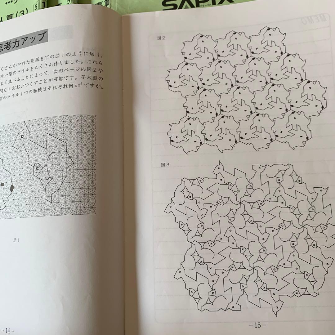 今日までお値下げ！SAPIX 小学5年1年分算数デイリーサポートサピックス74冊