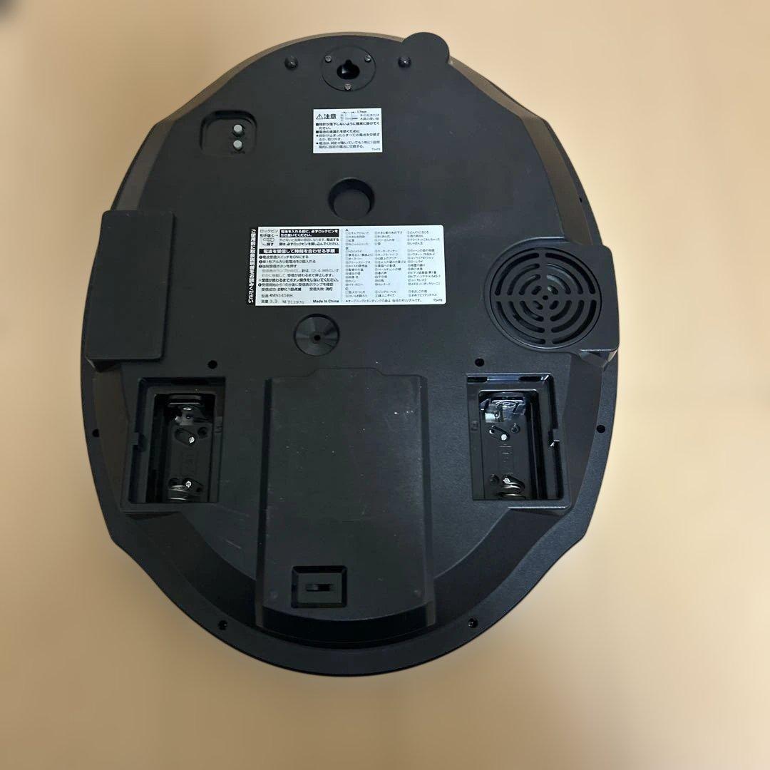 Small World 最上位モデル 電波掛け時計 リズム