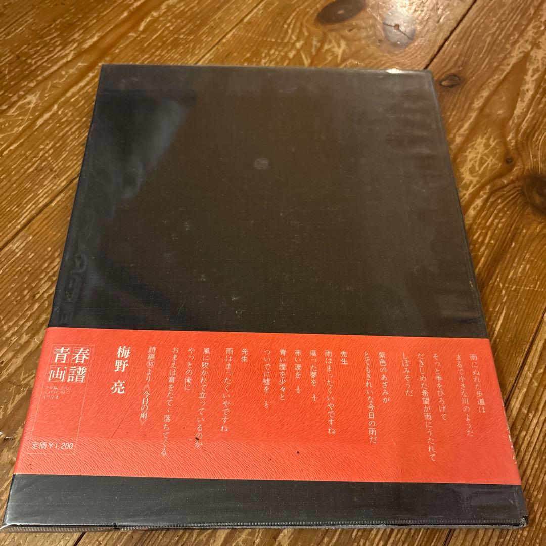 青春画譜 梅野亮 1973年出版