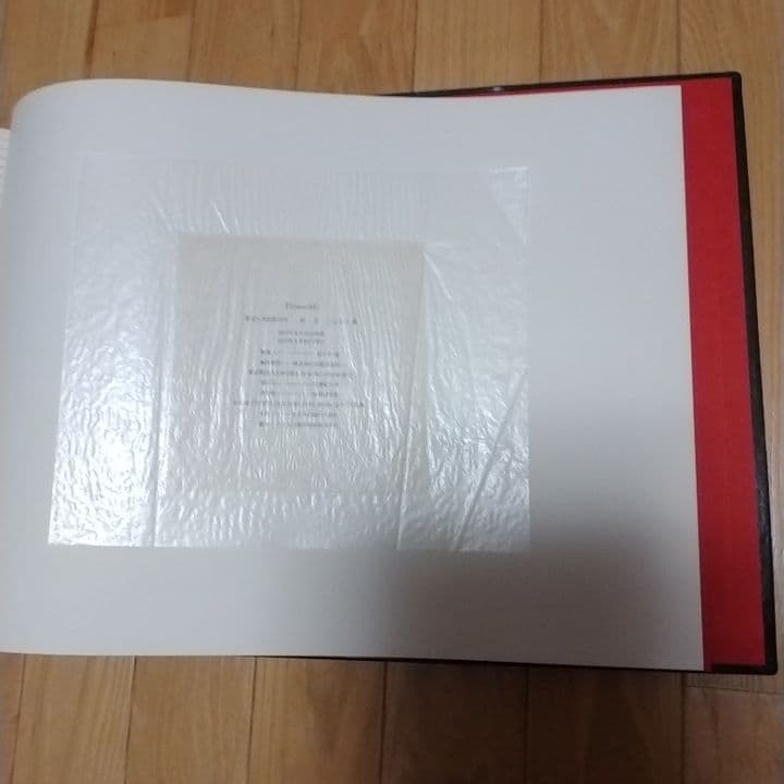 dou497！　ピカソ347 限定1000部　2巻組箱仕切板附属