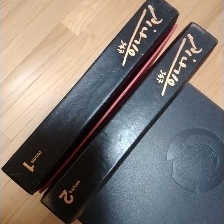dou497！　ピカソ347 限定1000部　2巻組箱仕切板附属