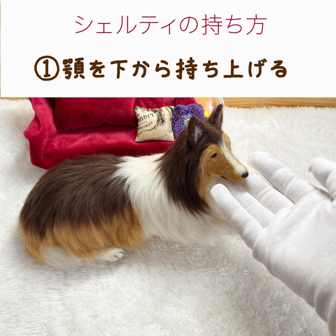 さらです
