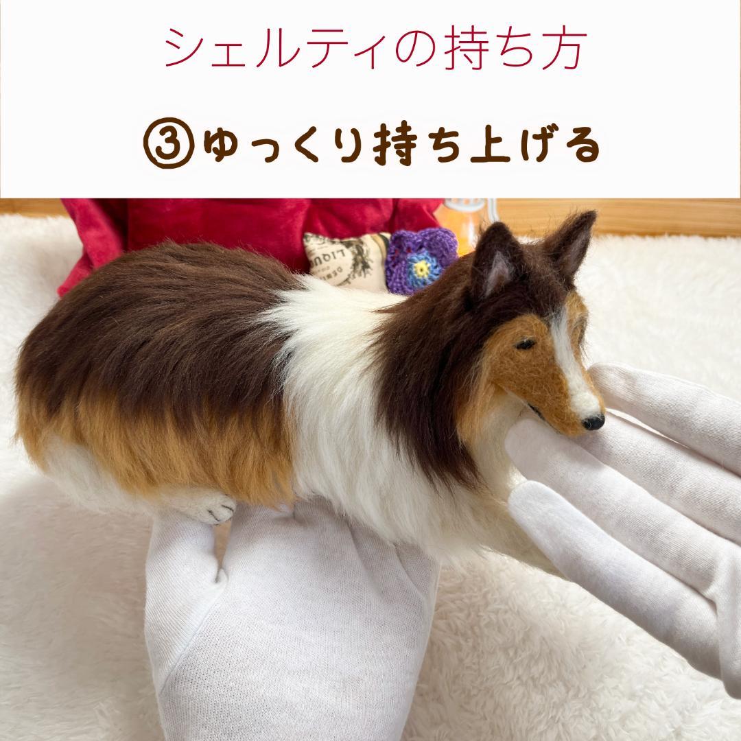 さらです