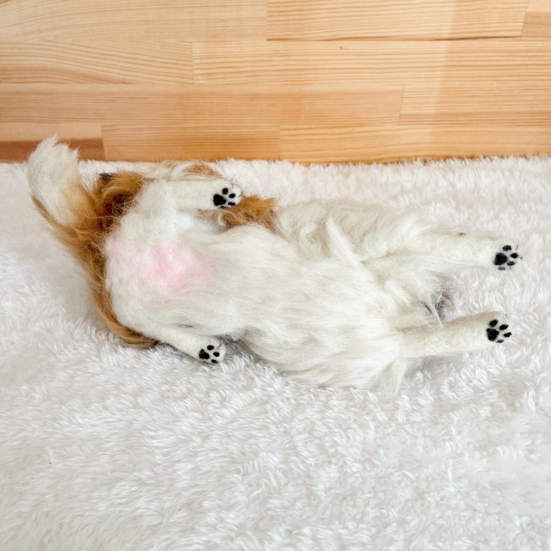 さらです