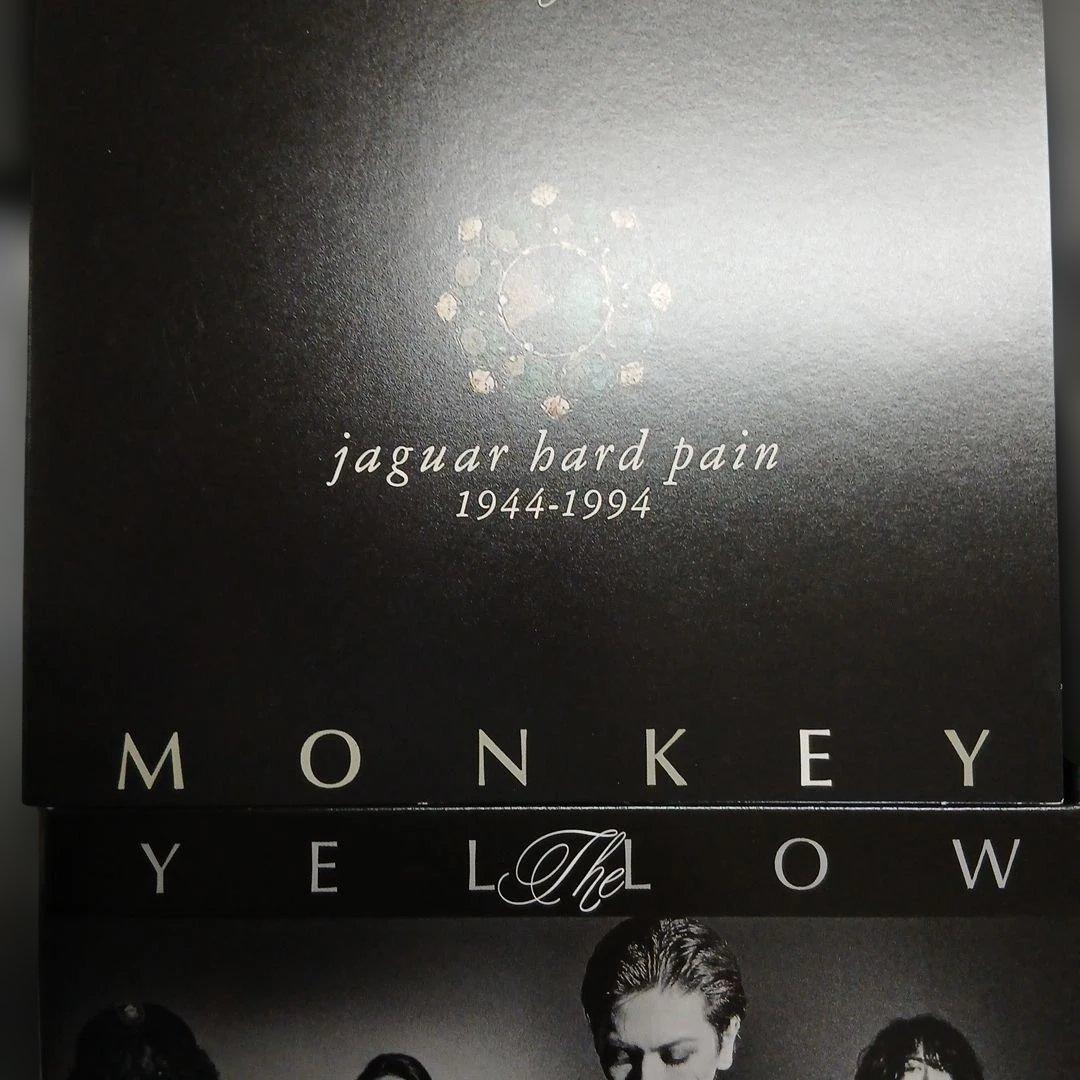 邦楽 THE YELLOW MONKEY jaguar hard pain