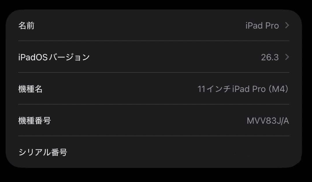 美品 iPad Pro 11インチ M4 256GB Wi-Fiモデル