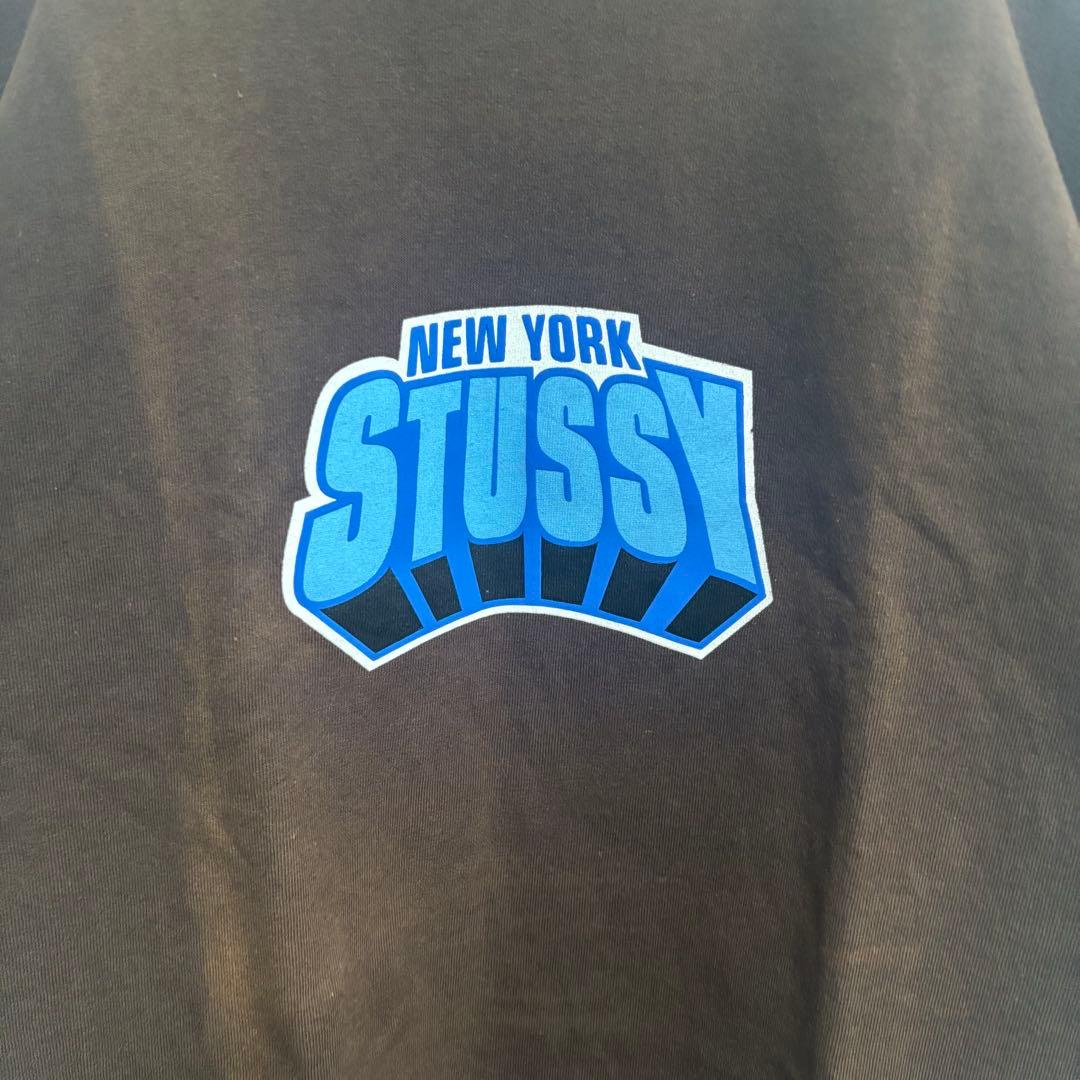 【専用出品】STUSSY 半袖Tシャツ　カットソー　フロントセンターロゴ
