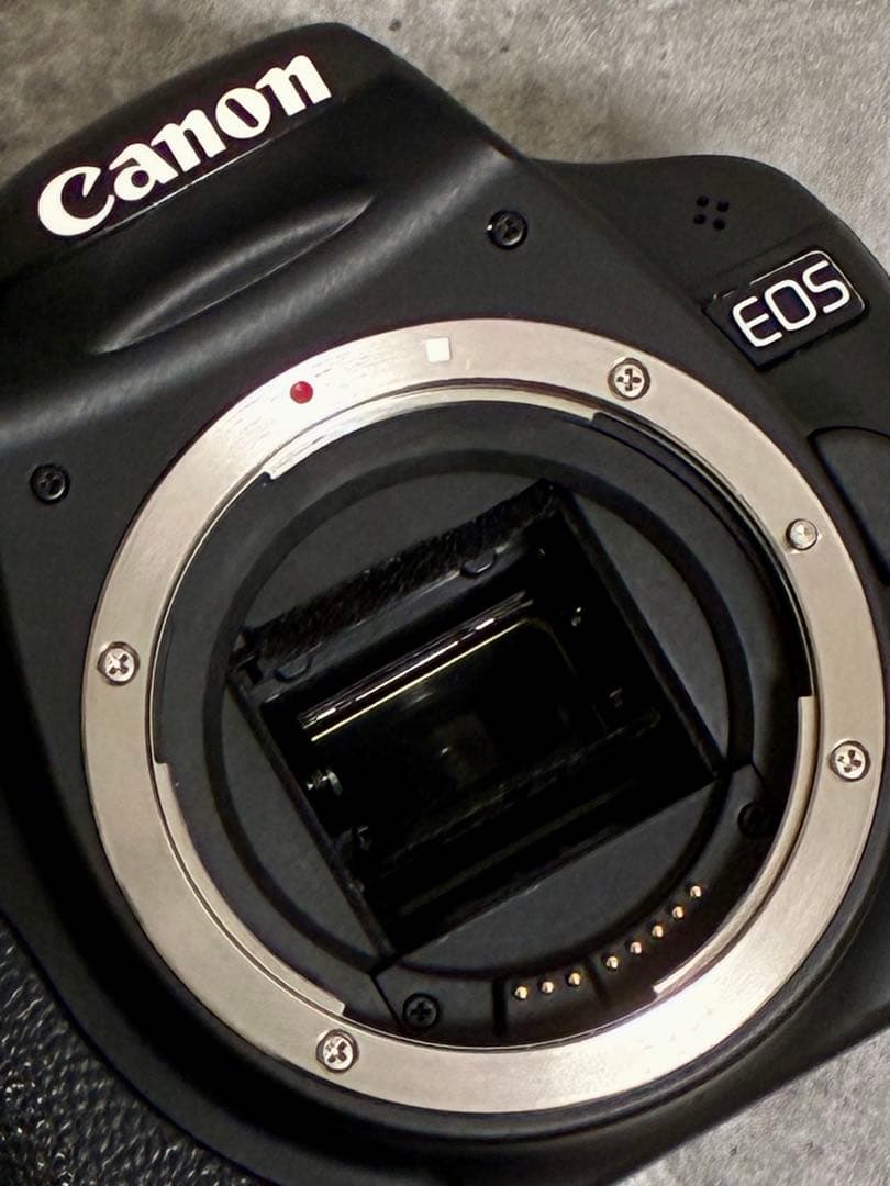 ⭐️完動⭐️キャノン Canon EOS kiss X3 & 標準&望遠ダブルレンズ