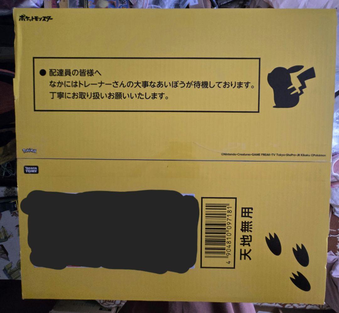 ポケモン30周年記念 おかえり!ピカチュウ1/1 専用BOX タカラトミー限定