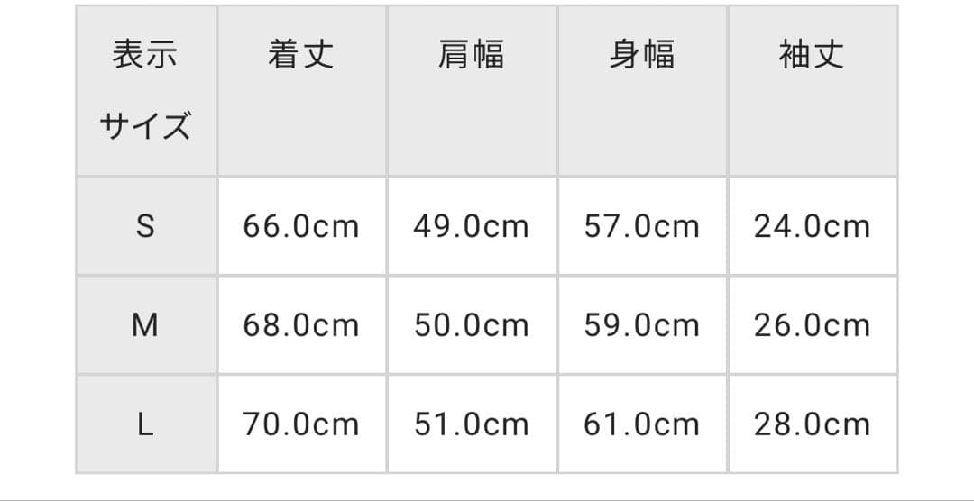 C.P. COMPANY レア 国内別注T 25SS